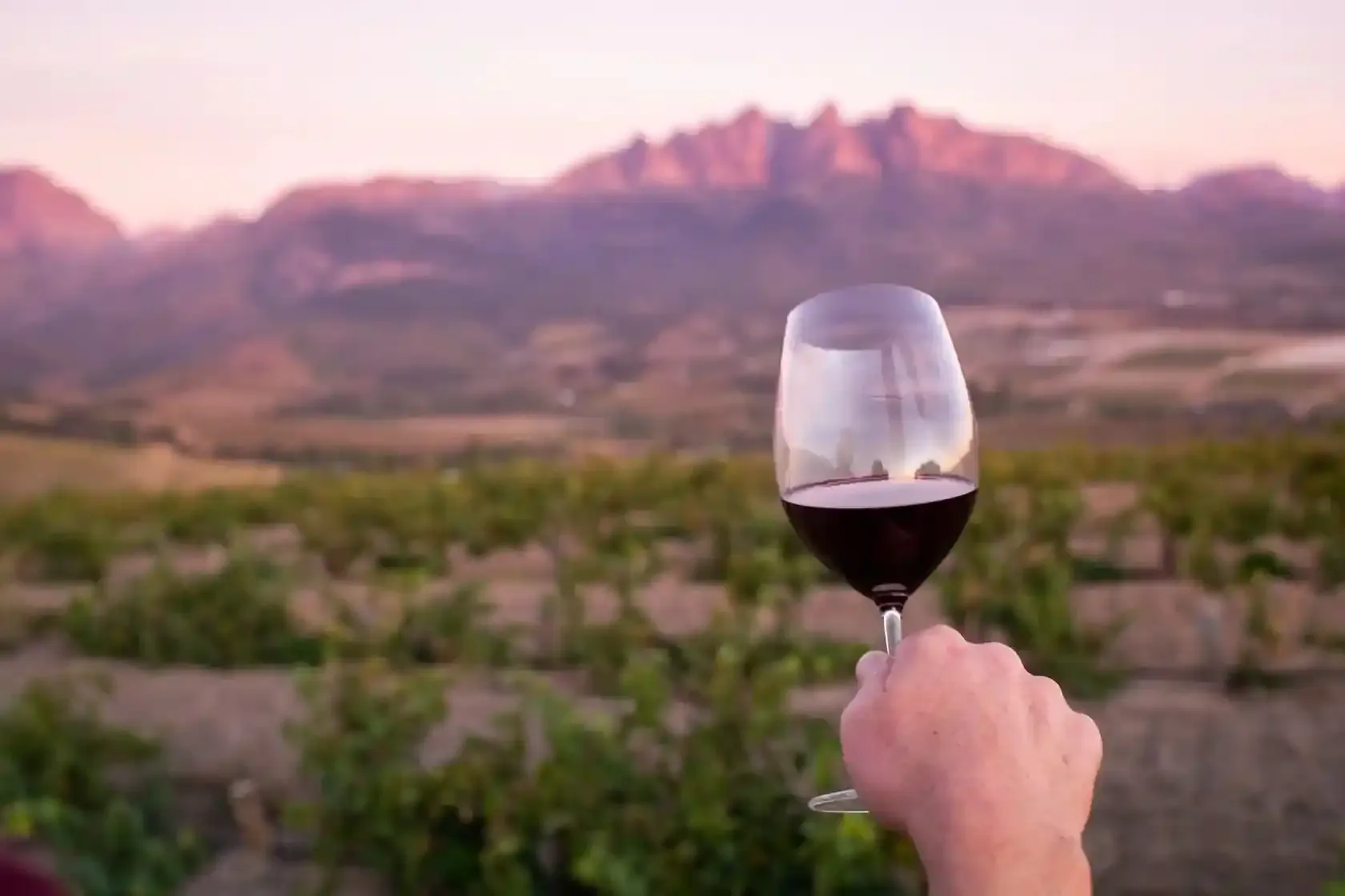 A glass of red wine held up over a vineyard at dusk, with mountains behind.